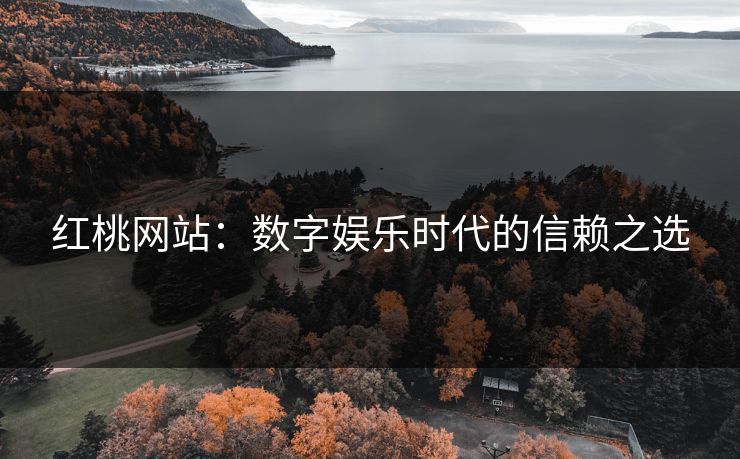 红桃网站：数字娱乐时代的信赖之选