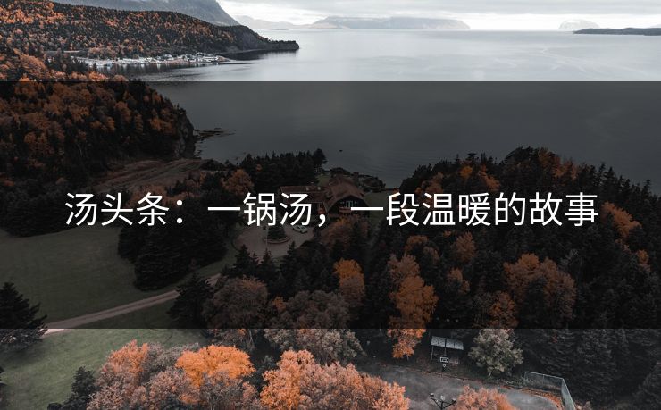 汤头条：一锅汤，一段温暖的故事