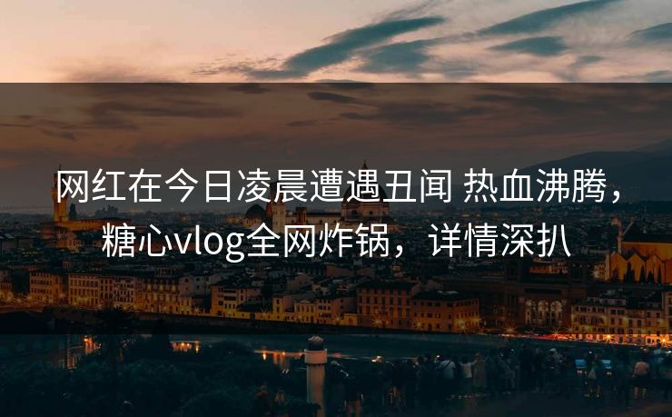 网红在今日凌晨遭遇丑闻 热血沸腾，糖心vlog全网炸锅，详情深扒